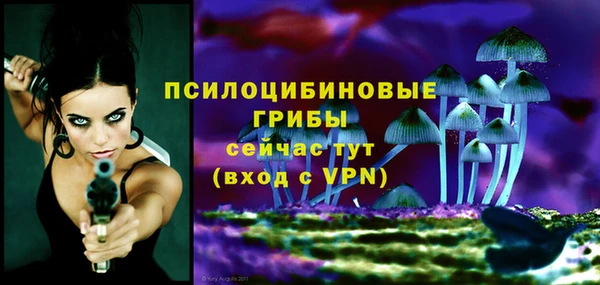 сатива Баксан