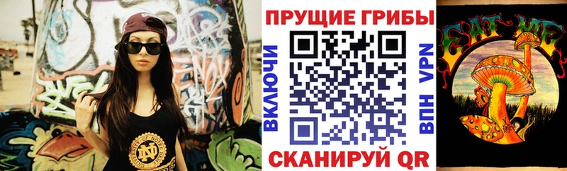 Псилоцибиновые грибы Psilocybine cubensis Родники