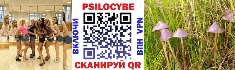 где найти наркотики Родники Галлюциногенные грибы GOLDEN TEACHER