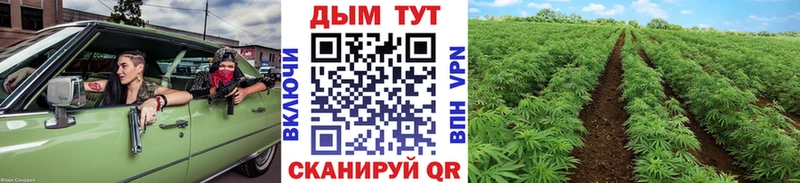 МАРИХУАНА марихуана  Родники 